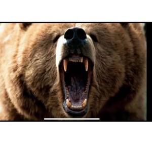 Meet your Posher, Dave